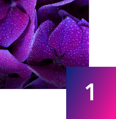 Delve into the details